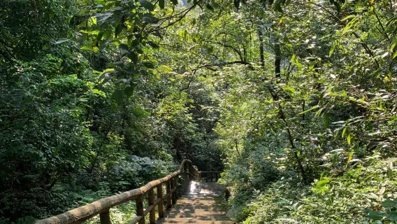Chenzhou 1-day Tour with Private Charter: Chenzhou Museum + Beihu Park + Su xian ling Scenic Area + Wangxianling (Bilingual Service in Chinese and English)