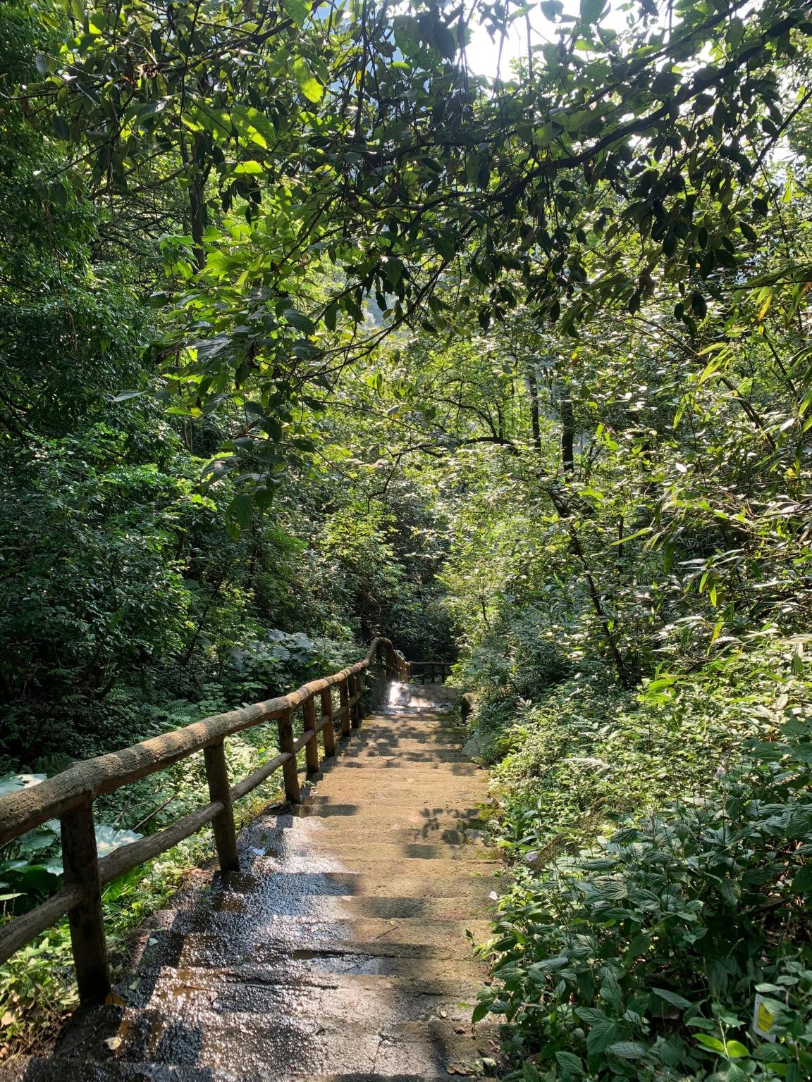 Tagesausflug mit englischem Service zum Museum Chenzhou, Beihu-Park, Suxian-Berg, Changjuan und Wangxian-Berg in Hunan