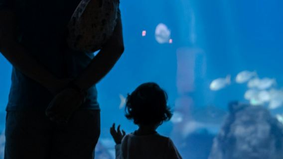 Oceanário de Lisboa: ทัวร์พร้อมไกด์ส่วนตัว