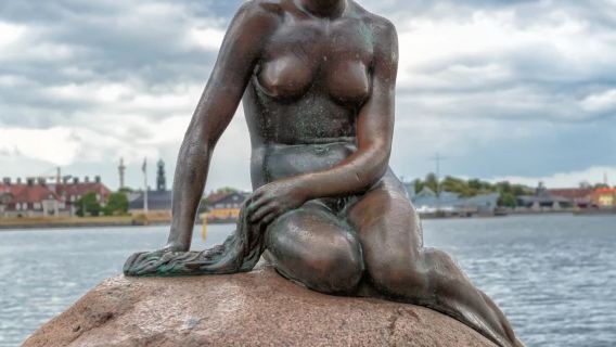 Copenhagen city tour - classic landmarks full coverage - New Harbor - The Little Mermaid - private charter - top pick