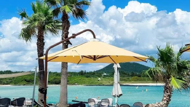 濟州島東線包車【中文司導+VIP服務】一日遊