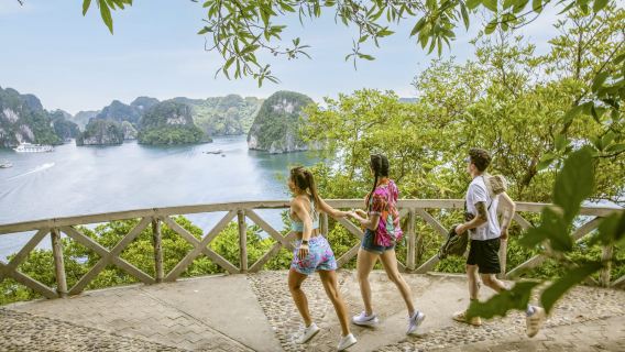 Ambassador Day Cruise from Ha Long International Port – Best Luxury Halong Bay Tour