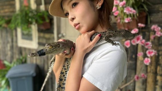 Kota Kinabalu + Weston Mangrove Forest Eco Tour (Half-Day) [Proboscis Monkeys & Fireflies]