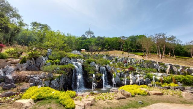 Frühlings-Spezial: Eintägige Blumen- und Kirschblüten-Tour in Incheon, Korea B-1