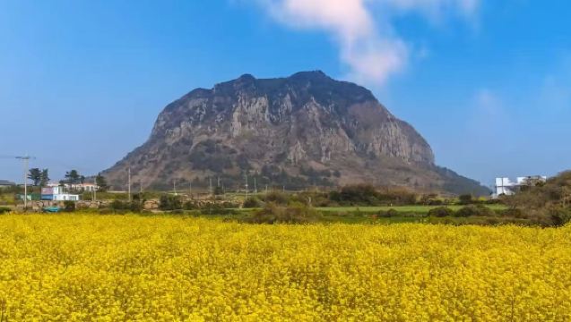 Lawatan Sehari Jeju Barat Daya | Termasuk Tiket Masuk | Gunung Sanbangsan + Air Terjun Jeongbang + Menjejak Lumba-lumba | Aktiviti Sahaja