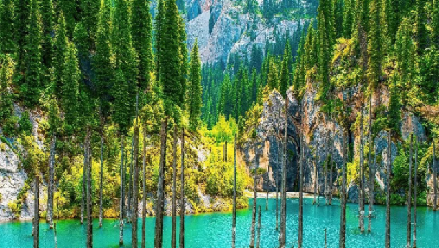 Lawatan Sehari Kumpulan Kecil 2-6 Orang ke Ngarai Charyn & Tasik Kaindy, Kazakhstan