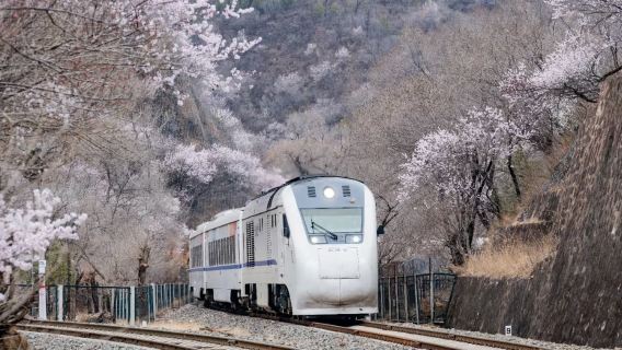 เดินทางไปยังกำแพงเมืองจีน ด่านปาต๋าหลิ่ง โดยรถไฟความเร็วสูง