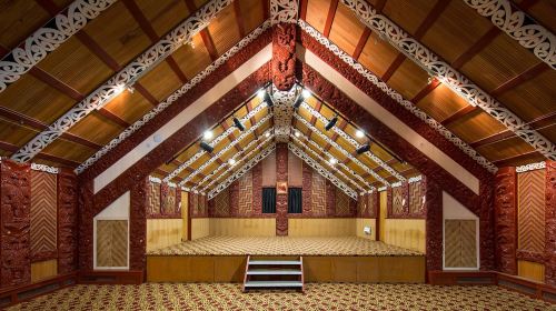 Waitomo glowworm caves + Te Puia geothermal park + Maori culture + Rotorua 16-person group tour Day Tours
