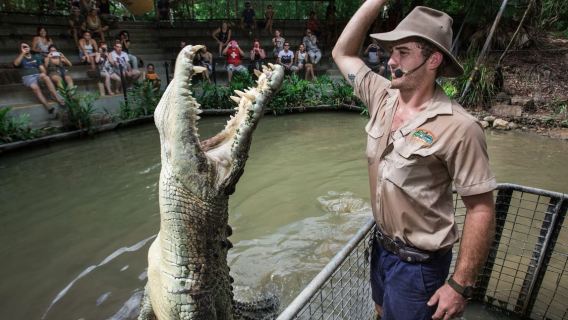 【凱恩斯】棕櫚灣+鱷魚園+道格拉斯港一日遊
