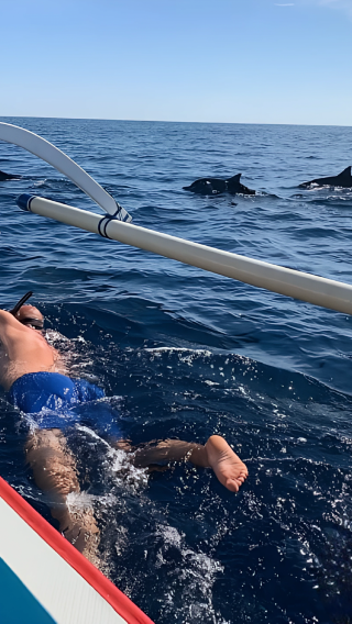 Lovina Dolphin Watching, Swimming, and Snorkeling Experience