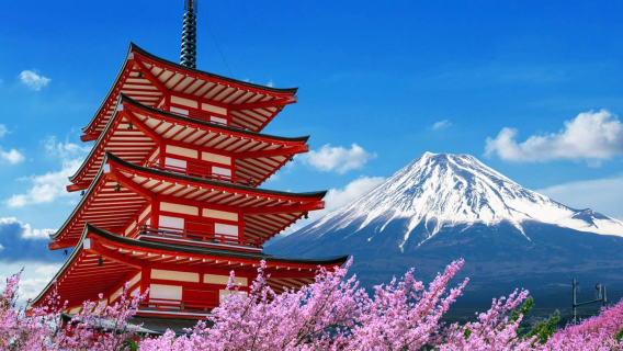 日本鎌倉一日遊｜打卡灌籃高手｜中文司機｜行程可調