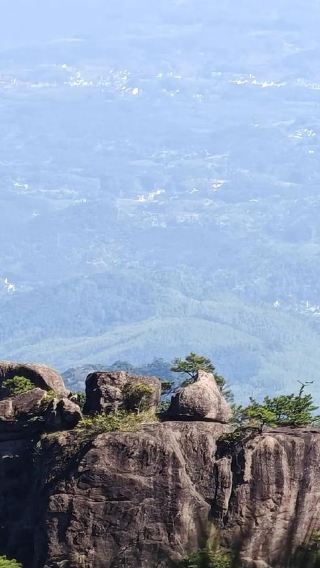 Huangshan: Yellow Mountains Private Guided Tour