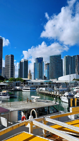 Half-day tour to Miami downtown + Bayside Marketplace + Wynwood Walls + Little Havana (small English-speaking group)