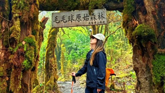 Lawatan Sehari Mendaki Hutan Primitive Bulu Gaoligong | Dapur Liar + Hot Spring Semula Jadi