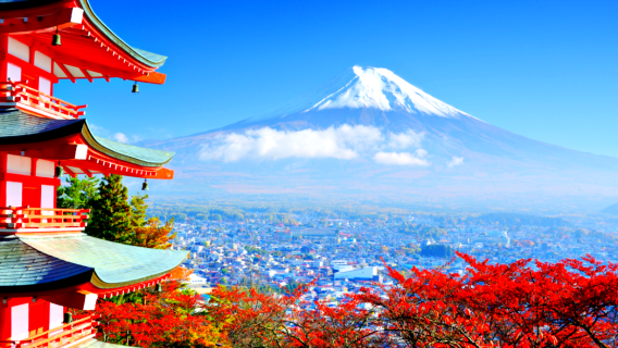 日本富士山、箱根、伊豆＆商務翻譯、地陪導覽、中文導遊服務