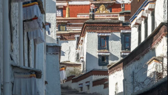 Lawatan Sehari ke Shigatse Bermula dari Lhasa [Pusat Warisan Bukan Kebendaan & Biara Tashilhunpo & Jalan Lama]