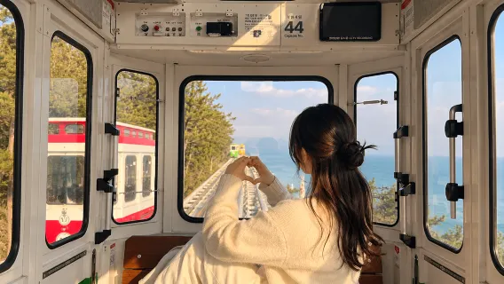 Cápsula del cielo y recogida en el hotel incluidos: Excursión de un día en grupo reducido por Busan