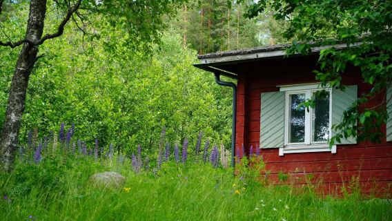 [Sewaan Peribadi Helsinki Finland] Taman Negara Nuuksio - Tasik Hutan Asli (tiket masuk tidak termasuk)
