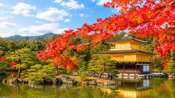 [Jaminan Kumpulan] Lawatan Sehari Kyoto Kuil Fushimi Inari + Arashiyama + Kuil Kinkaku-ji + Taman Nara