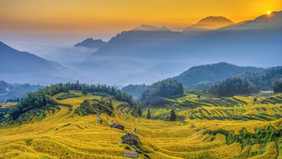 Lawatan Sehari ke Teres Sawah Yunhe + Kampung Seni Guyan [Kongsi Kenderaan Termasuk Tiket Masuk, Langsung ke Puncak Gunung, Berhenti Mengikut Keperluan]