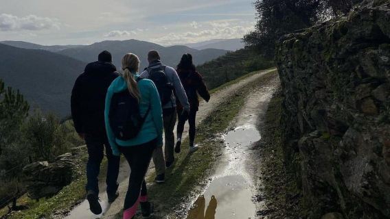 From Porto: Douro Valley Hike w/ Picnic at a boutique Winery