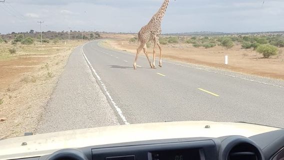 Arusha