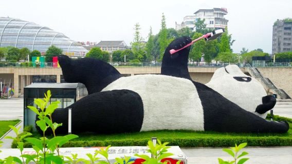 熊貓谷+都江堰+青城山包車一日遊【2-8人獨立用車上門接送】