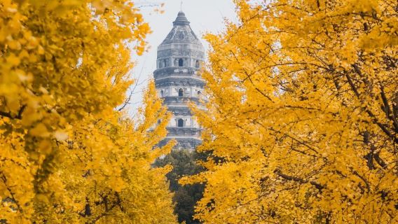 Private Live Guided Tour at Tiger Hill(Huqiu) Scenic Area