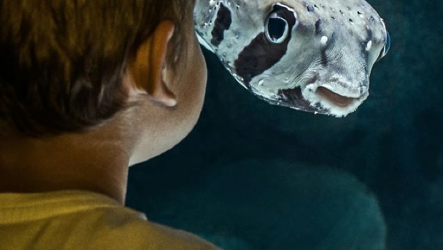 케언즈 수족관 투어리스트 트와일라이트