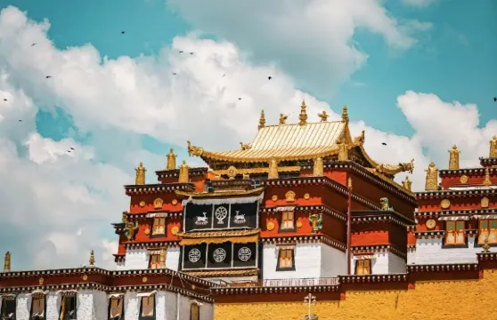 香格里拉包車一日【香格里拉周邊路線可定制|自由行|專車專用】