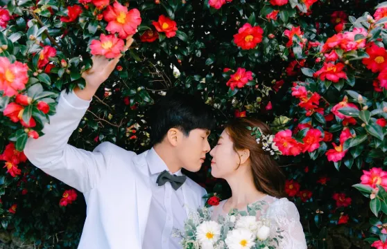 三門峽 Trip Moments【婚禮跟拍宣傳片微電影婚紗寫真/商業攝影攝像約拍定制/翻譯】