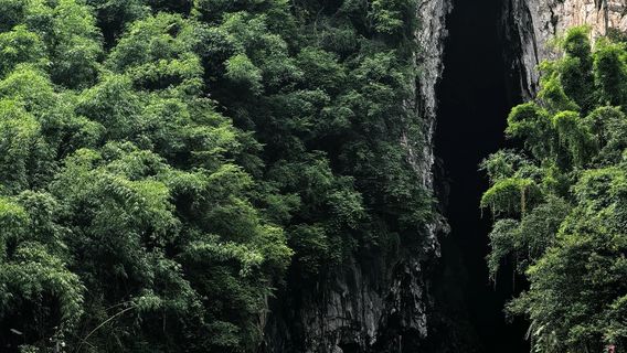 XingyiTours