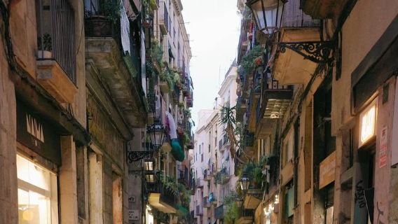 巴塞隆拿港口接船一日遊+聖家族大教堂+米拉之家+巴特羅之家