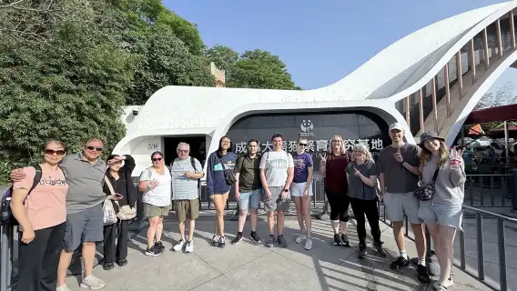 Chengdu Research Base of Giant Panda Breeding + Leshan Giant Buddha 1-day tour