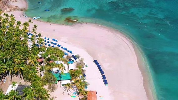 Punta ArenasTours