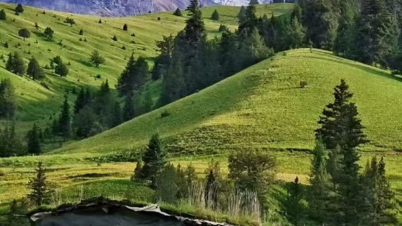 中国四川省成都出発：元延南線「花の海」を巡るオーダーチャーター車ツアースノーマウンテン牧草地 |湖] 四川省西部の小さな秘密の場所 |ゲンイエンの目 |ゲディラムv