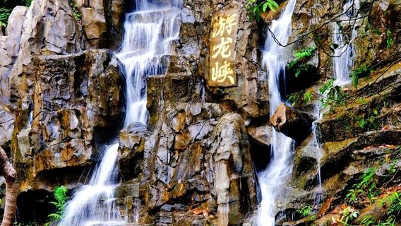 鶴山日遊