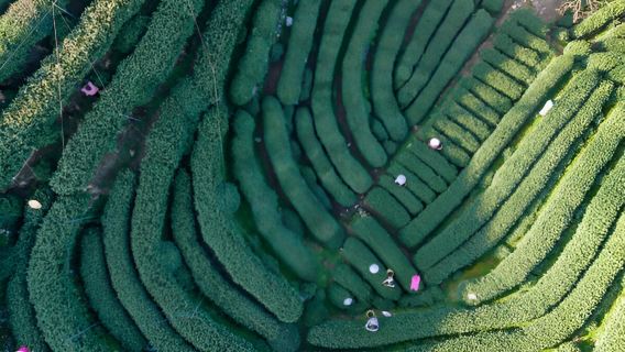 HangzhouTours