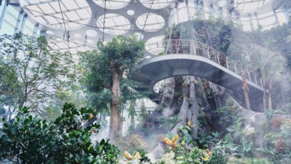 Professional Chinese/English-speaking guides in Shanghai, China|Local guide service|Play companion|Attraction guide services