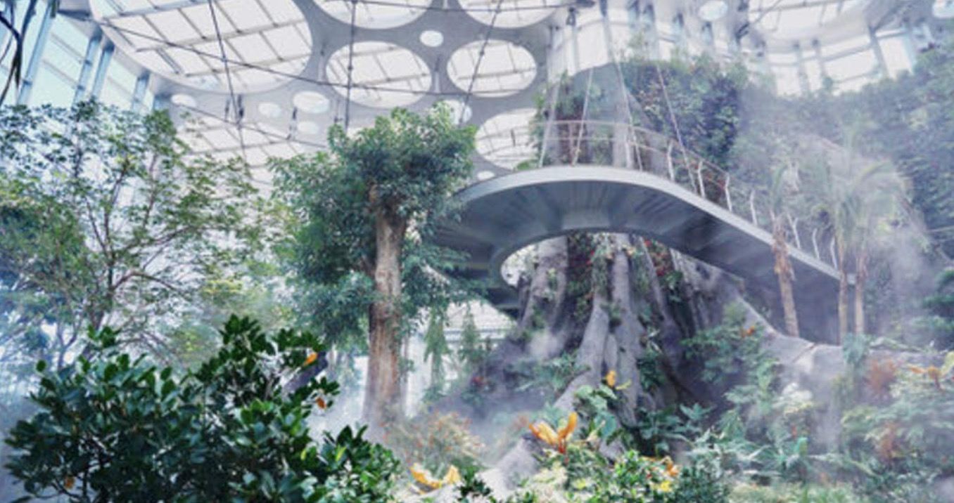 Professional Chinese/English-speaking guides in Shanghai, China|Local guide service|Play companion|Attraction guide services