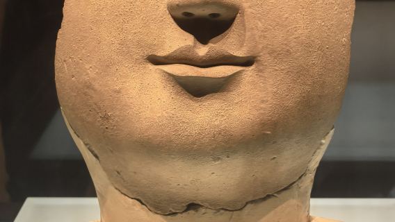 Luoyang Museum + Special Cultural Relics Exhibition