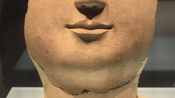 Luoyang Museum + Special Cultural Relics Exhibition