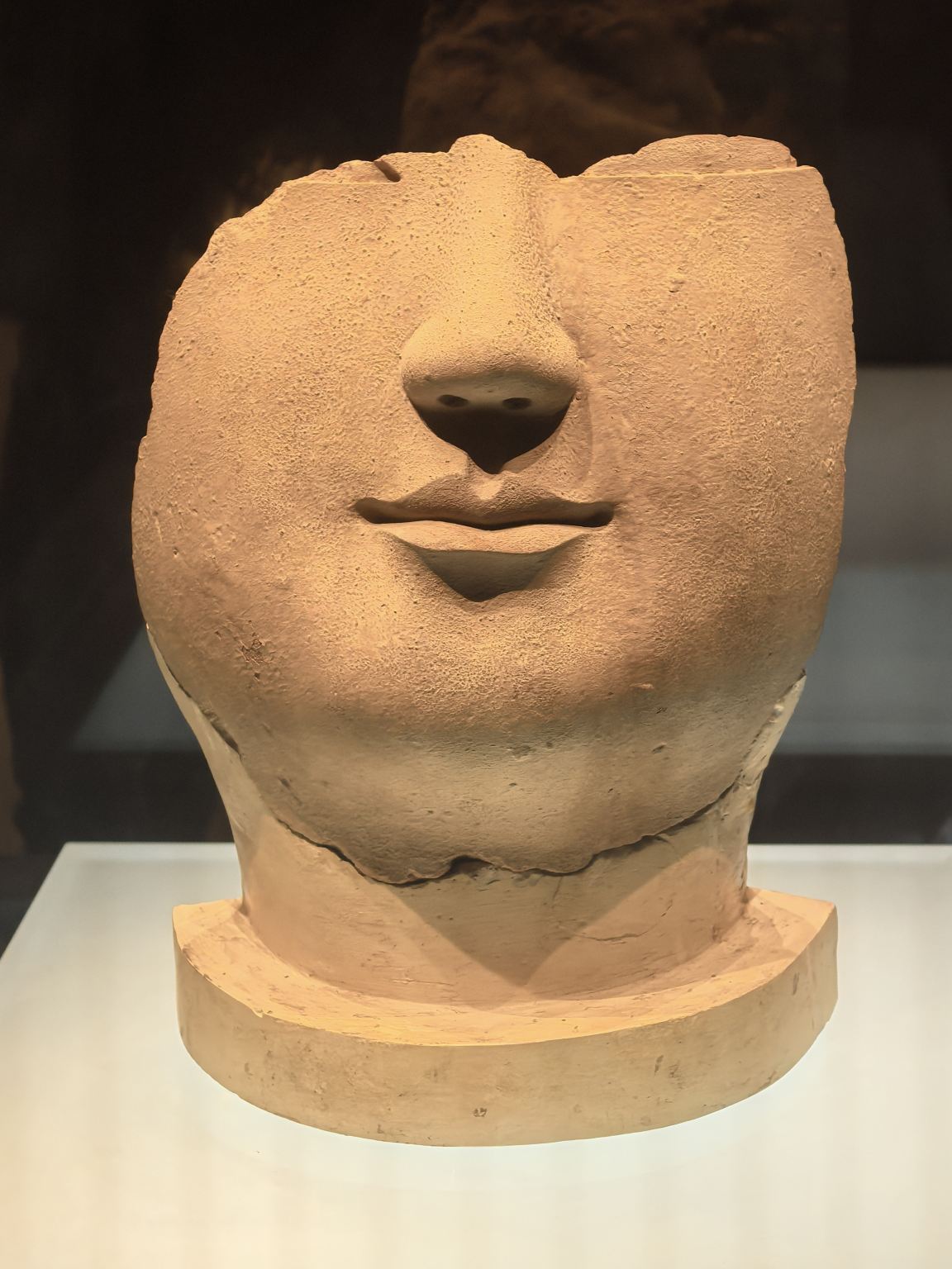 Luoyang Museum + Sui and Tang Dynasty Town Botanic Gardens