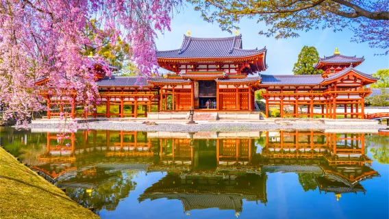 Partenza da Osaka [Linea per pigri] Interazione con i cervi di Nara + Degustazione di matcha di Uji + Rilassamento in stile giapponese