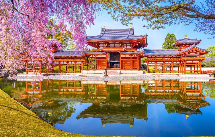 大阪出發【懶人專線】奈良小鹿互動+東大寺祈福+體驗宇治抹茶