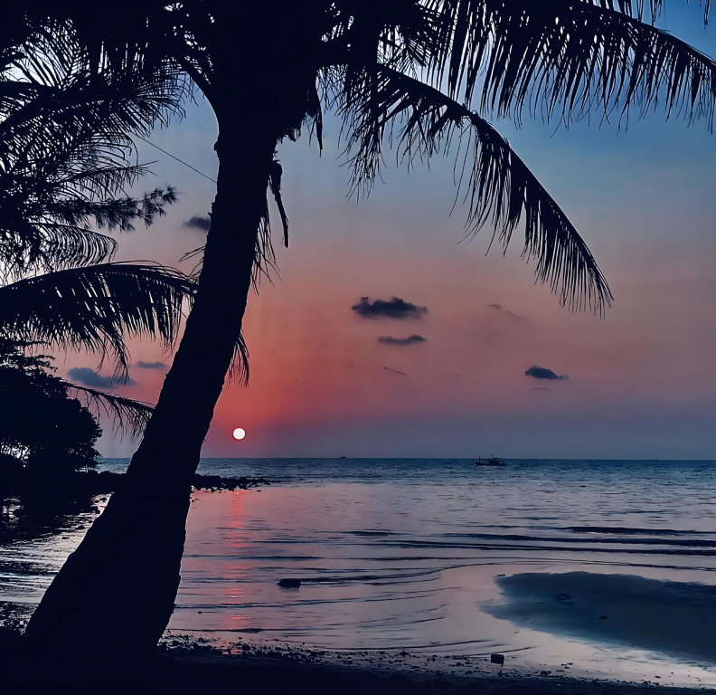 越南香島公園跨海纜車+日落小鎮+護國寺一日遊【中文包車】