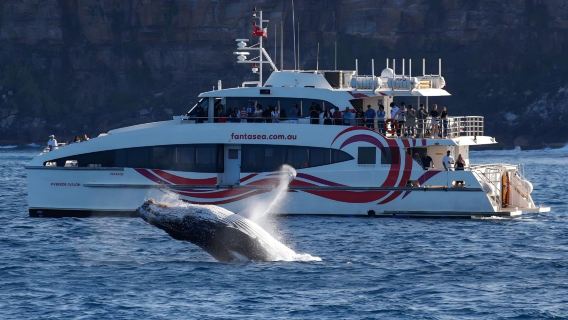 SydneyTours