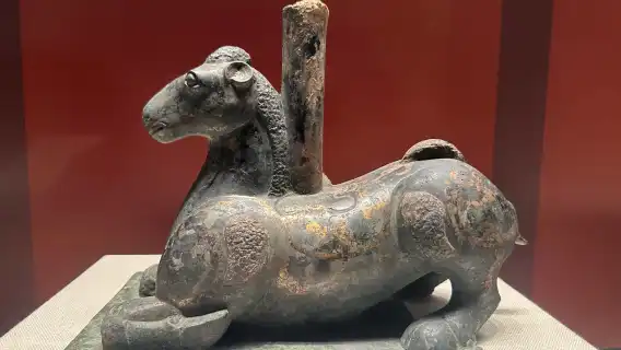 珠海博物館半日研學遊【導覽2小時】|精品小團】@家庭遊/親子遊