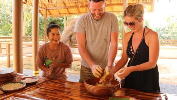 Samui: Feeding Program at the Elephant Home Nursery