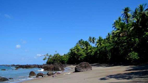 Parque Nacional Corcovado: Senderismo guiado - Día completo